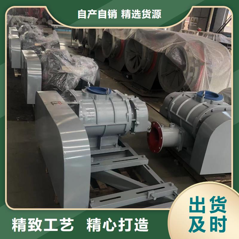 山东临风科技股份L系列罗茨风机LFSR300