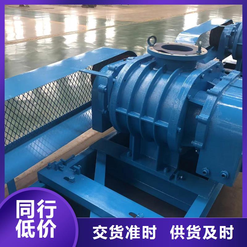 2025三叶罗茨鼓风机LFSR125