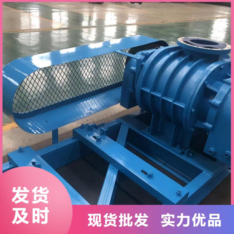 每日三叶罗茨鼓风机LFSR150
