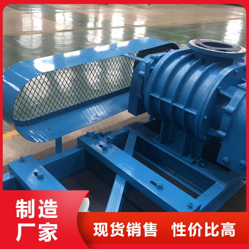 2025洗煤专用罗茨风机LFSR250