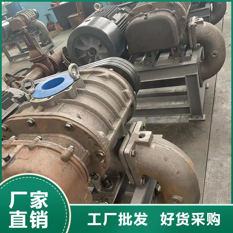 山东临风科技三叶罗茨鼓风机LFSR65