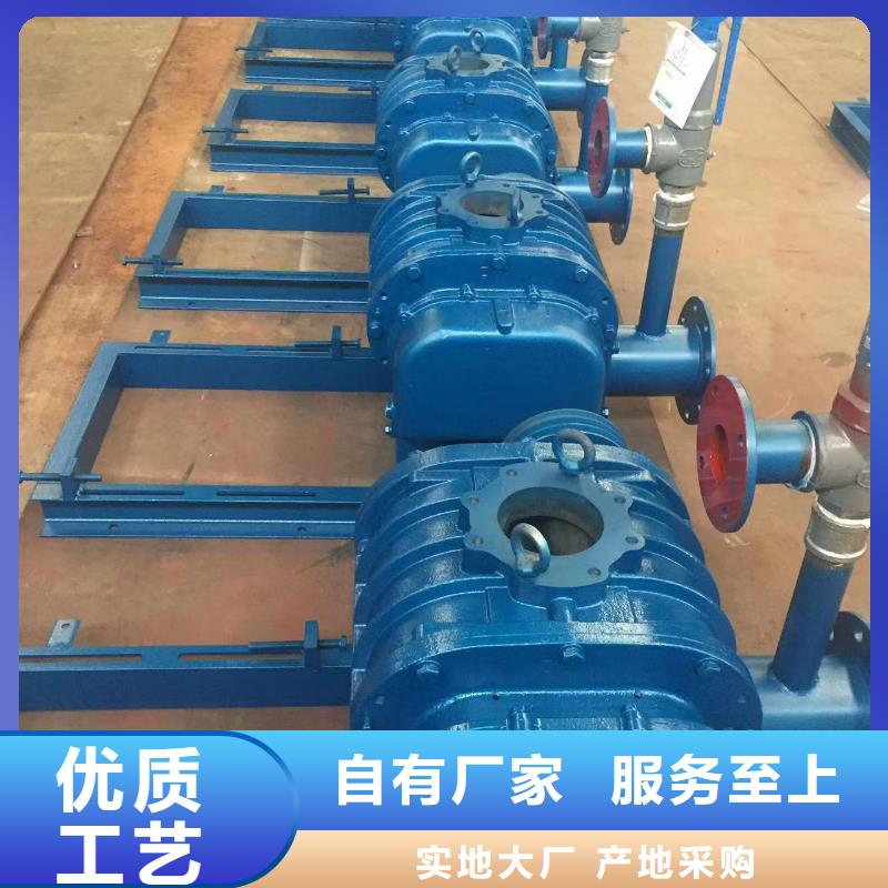 山东临风科技股份有限公司罗茨鼓风机LFSR150
