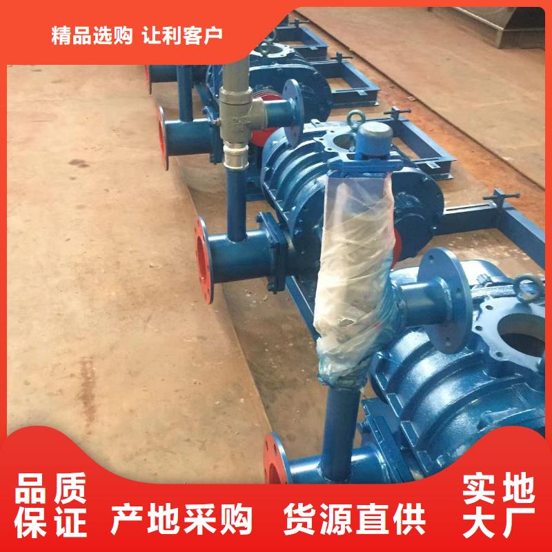 山东临风科技股份有限公司罗茨鼓风机LFSR300