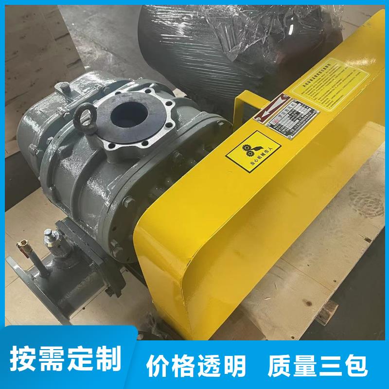 山东临风科技股份两叶罗茨风机LFSR80