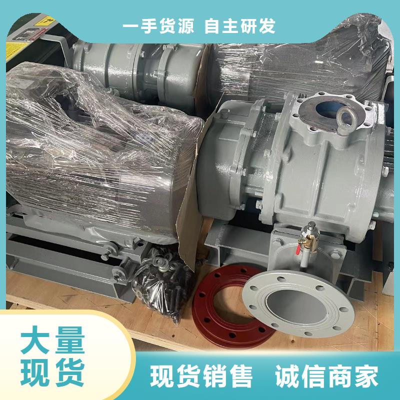 2025两叶罗茨风机LFSR65