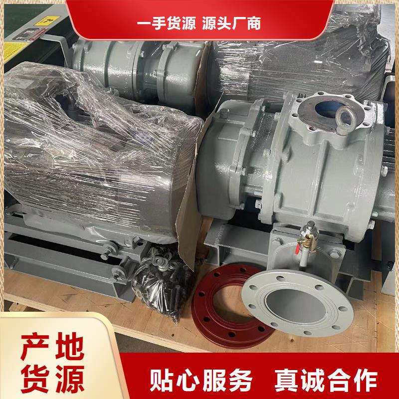 山东临风科技股份L系列罗茨风机LFSR300
