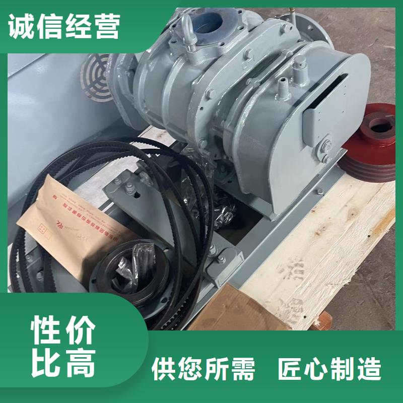 每日三叶罗茨鼓风机LFSR300