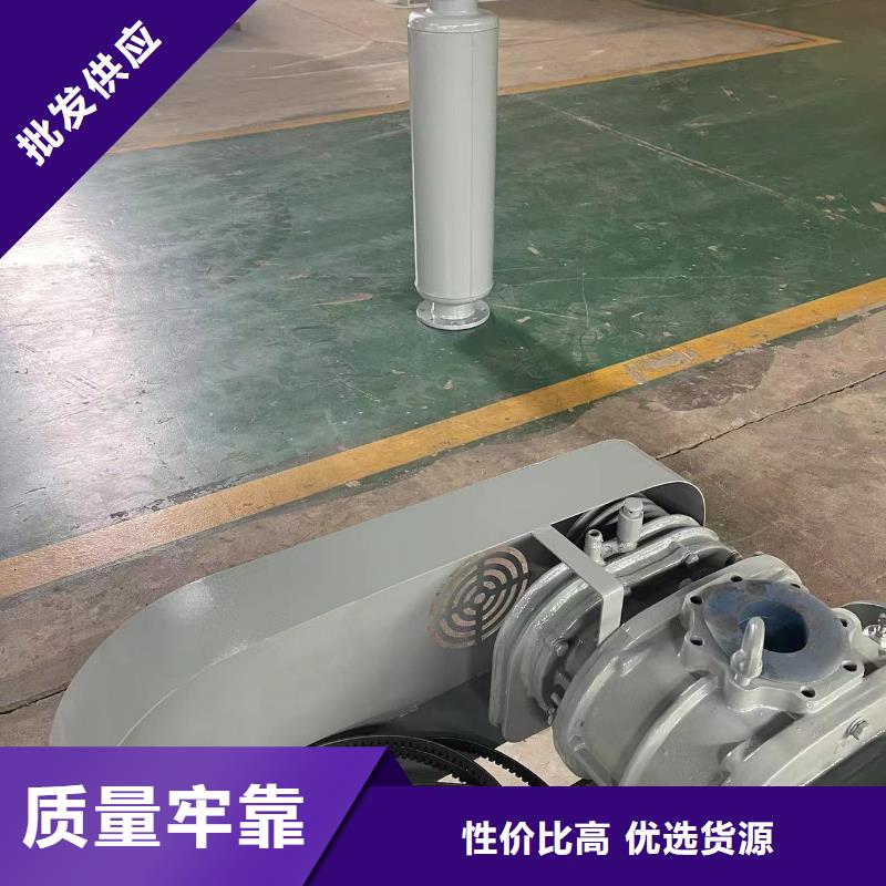山东临风科技股份有限公司两叶罗茨风机LFSR125
