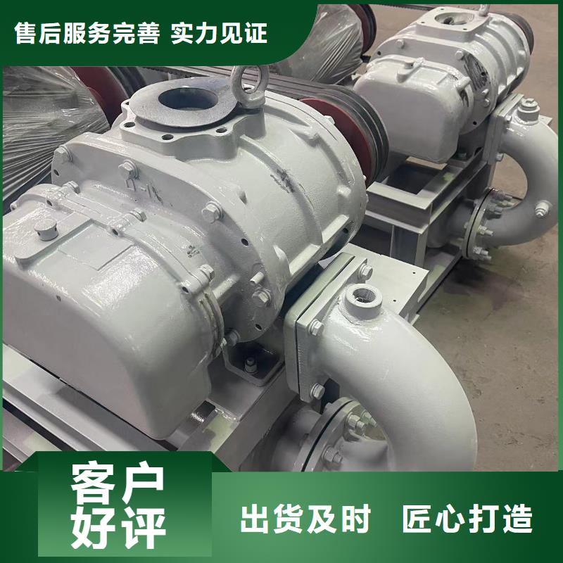 每日两叶罗茨风机LFSR125