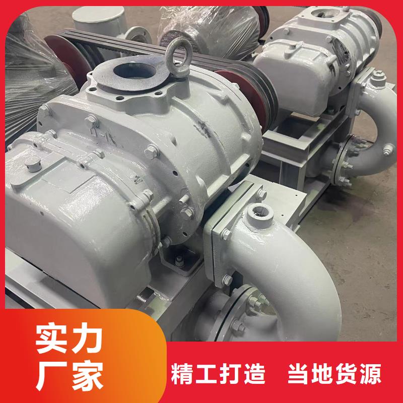 山东临风科技股份有限公司洗煤专用罗茨风机LFSR250