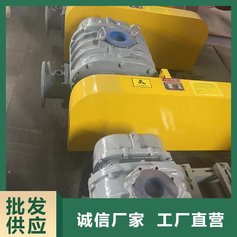 2025L系列罗茨风机LFSR150