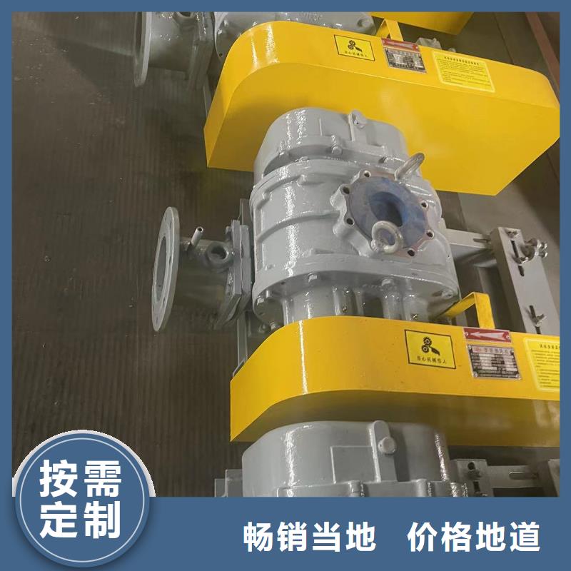 2025洗煤专用罗茨风机LFSR250