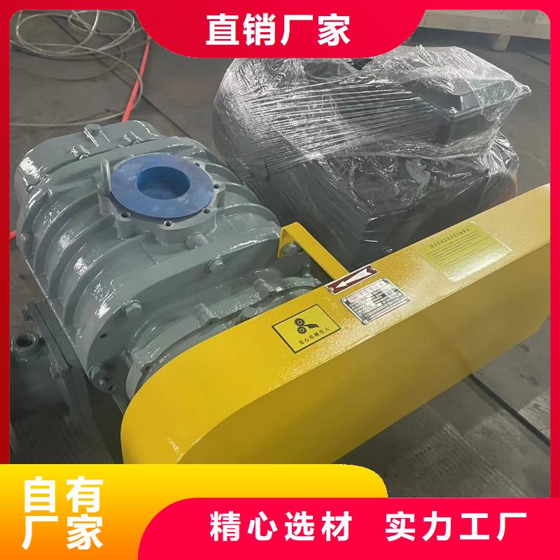 山东临风科技三叶罗茨鼓风机LFSR200