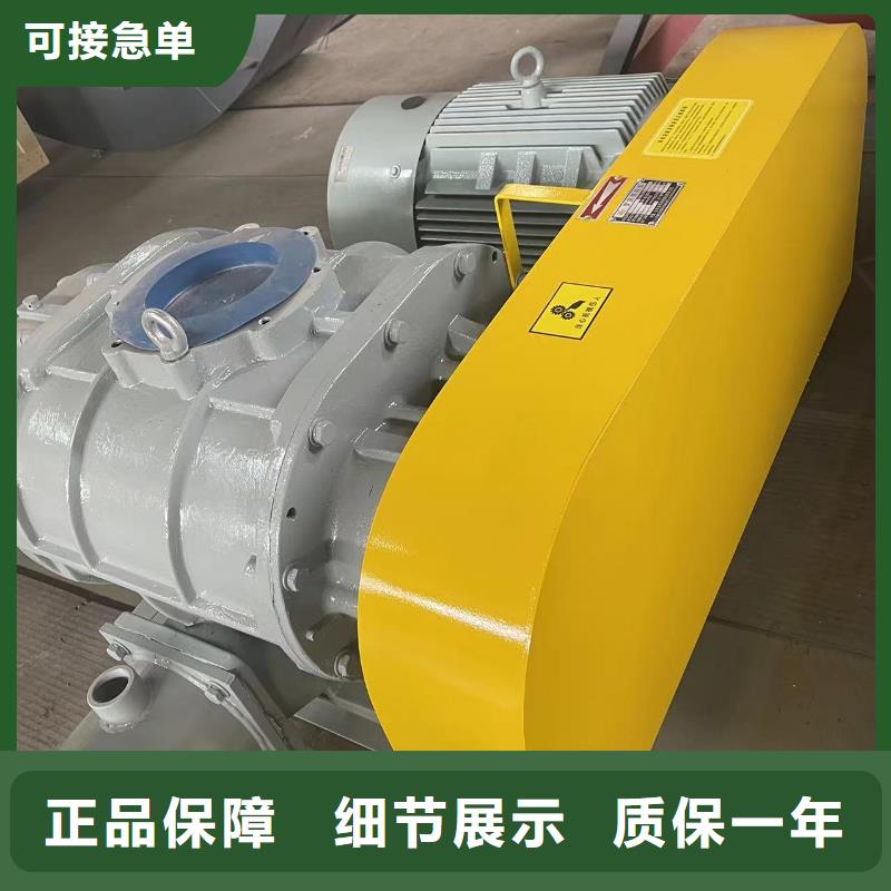 2025罗茨鼓风机LFSR250