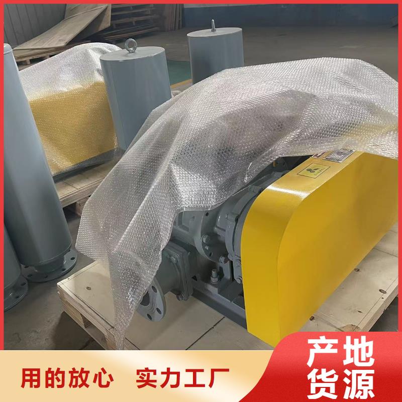 山东临风科技股份两叶罗茨风机LFSR80