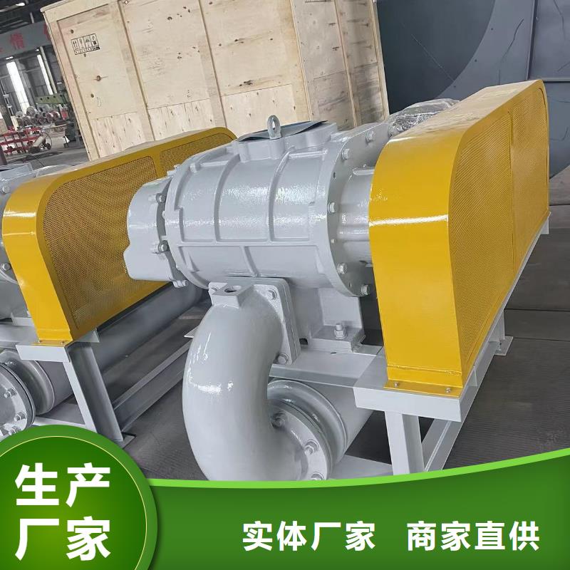 2025三叶罗茨鼓风机LFSR250