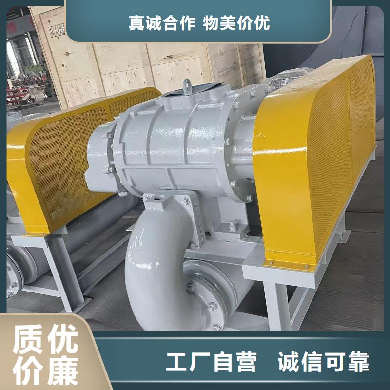 2025两叶罗茨风机LFSR300