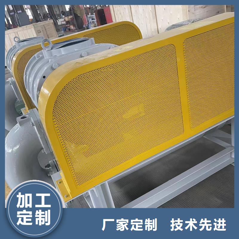 2025罗茨鼓风机LFSR150