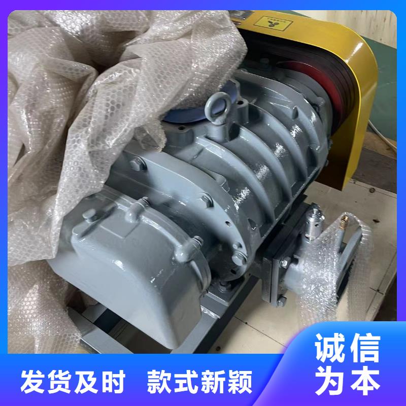 每日L系列罗茨风机LFSR100