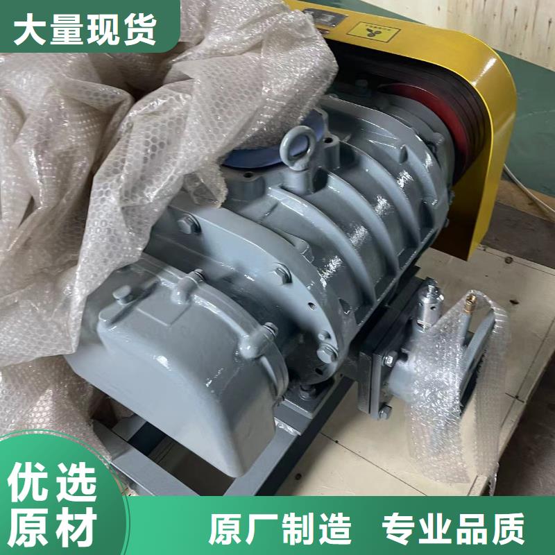 山东临风科技股份有限公司罗茨鼓风机LFSR300
