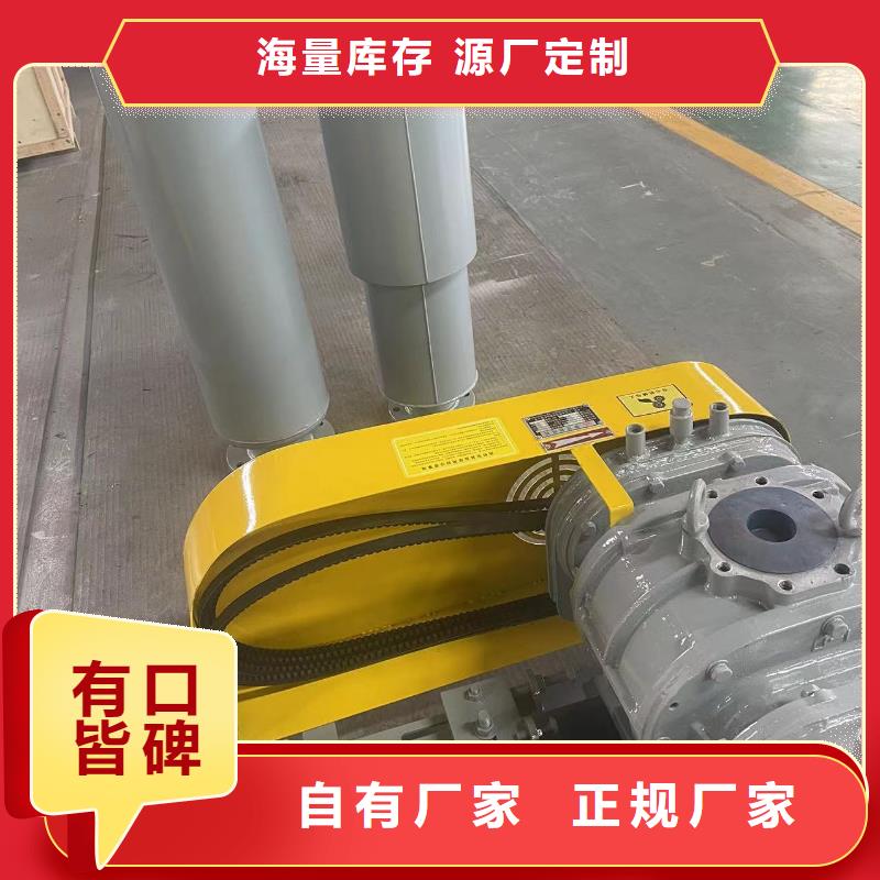 2025实时更新三叶罗茨鼓风机LFSR200