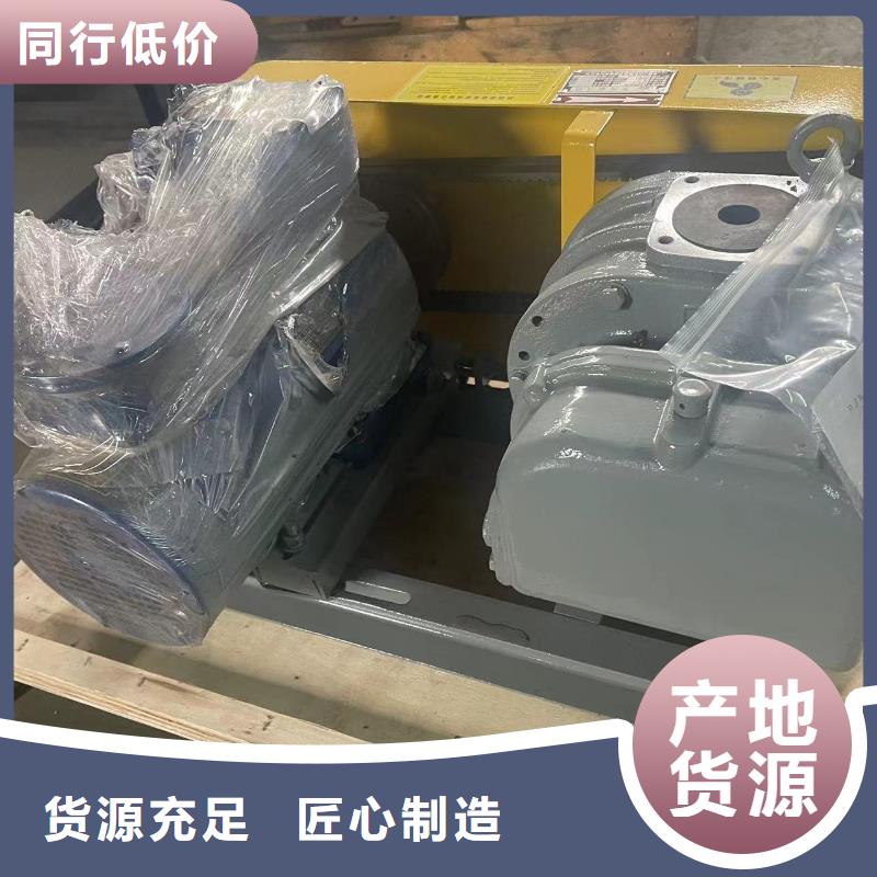 山东临风三叶罗茨鼓风机LFSR65