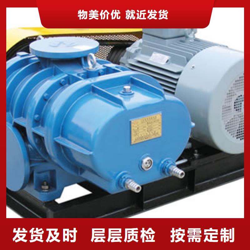 2025两叶罗茨风机LFSR300