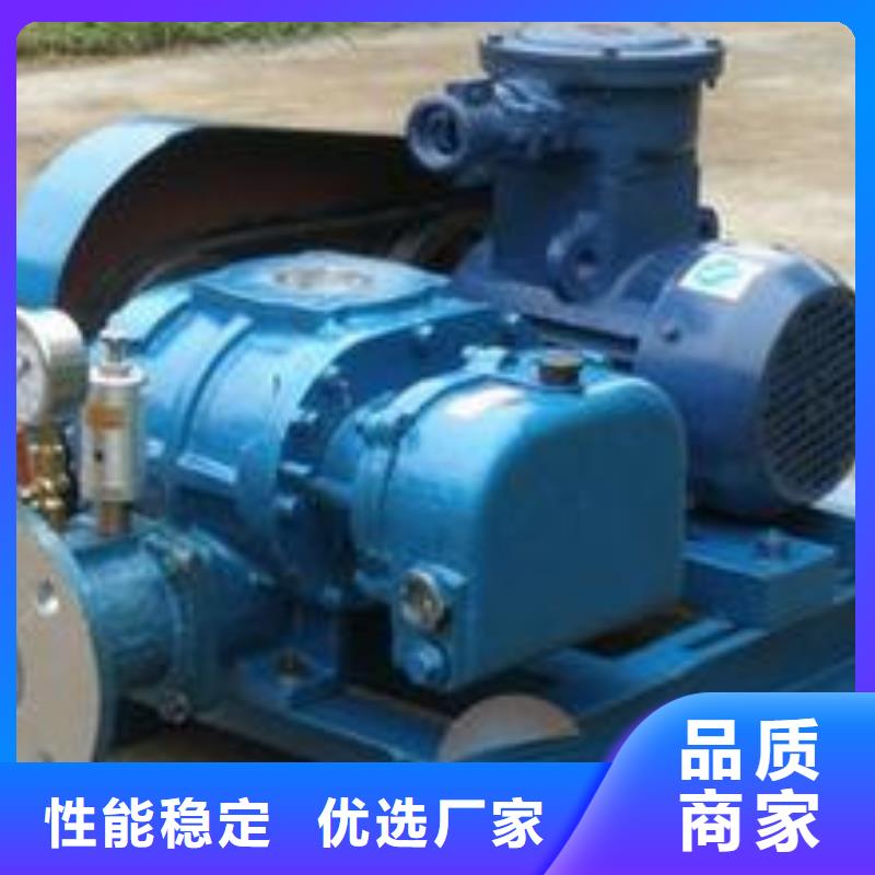 2025洗煤专用罗茨风机LFSR250