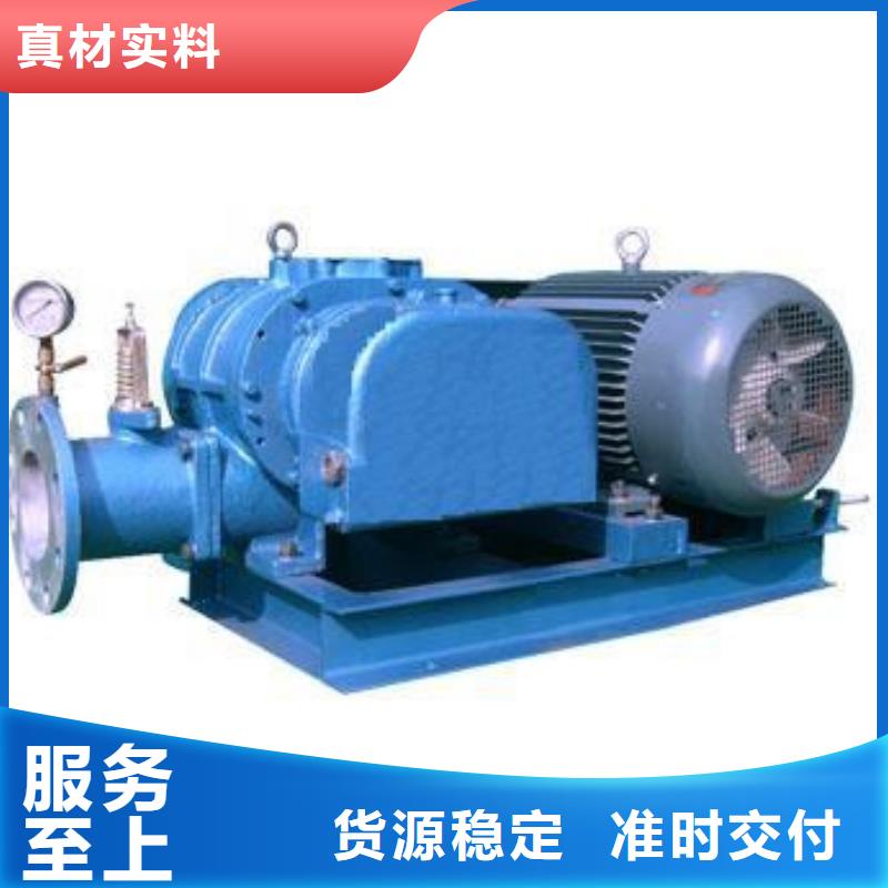 2025三叶罗茨鼓风机LFSR100