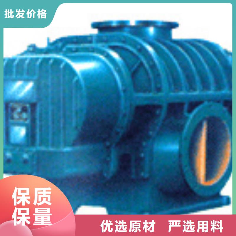 山东临风科技股份L系列罗茨风机LFSR150