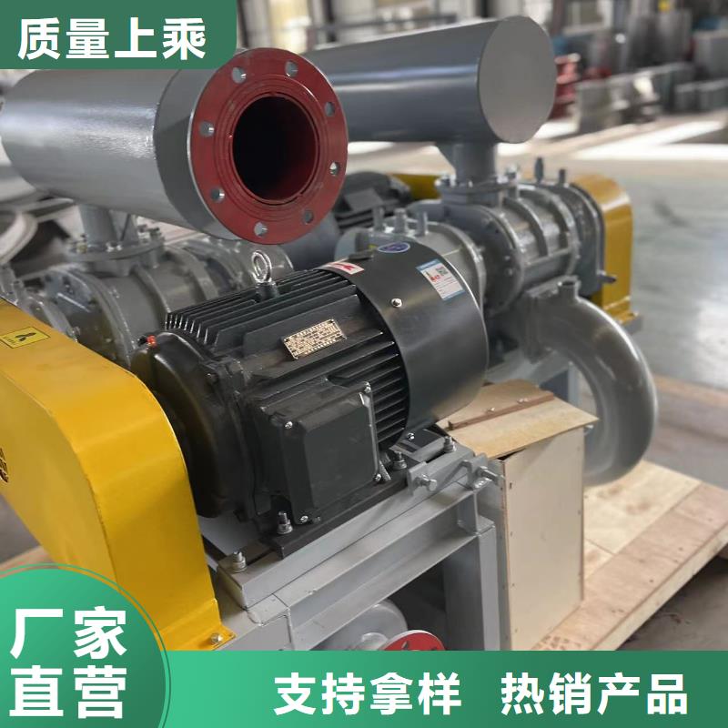 2025罗茨鼓风机LFSR150