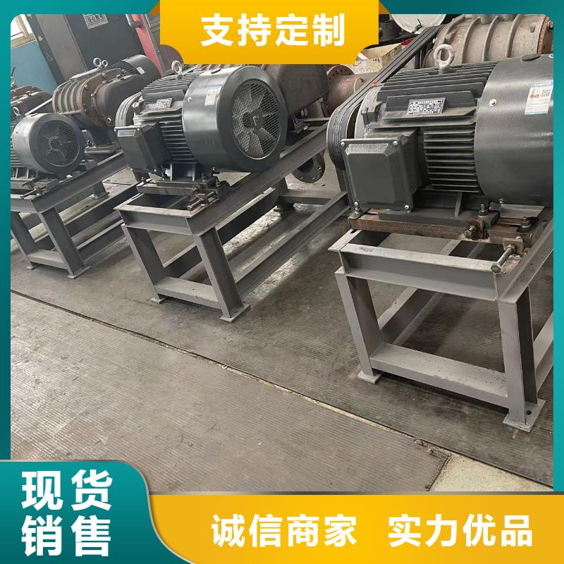 2025罗茨鼓风机LFSR250