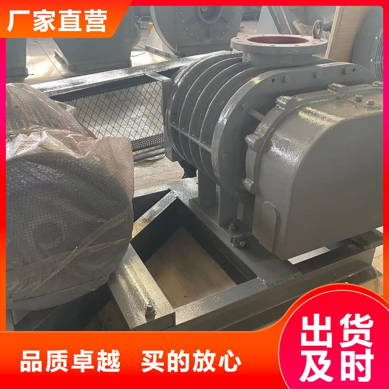 山东临风科技股份洗煤专用罗茨风机LFSR125