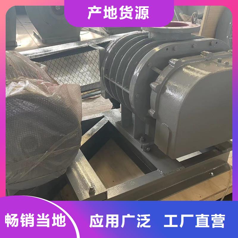 2025罗茨鼓风机LFSR150