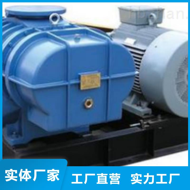 山东临风科技股份两叶罗茨风机LFSR80