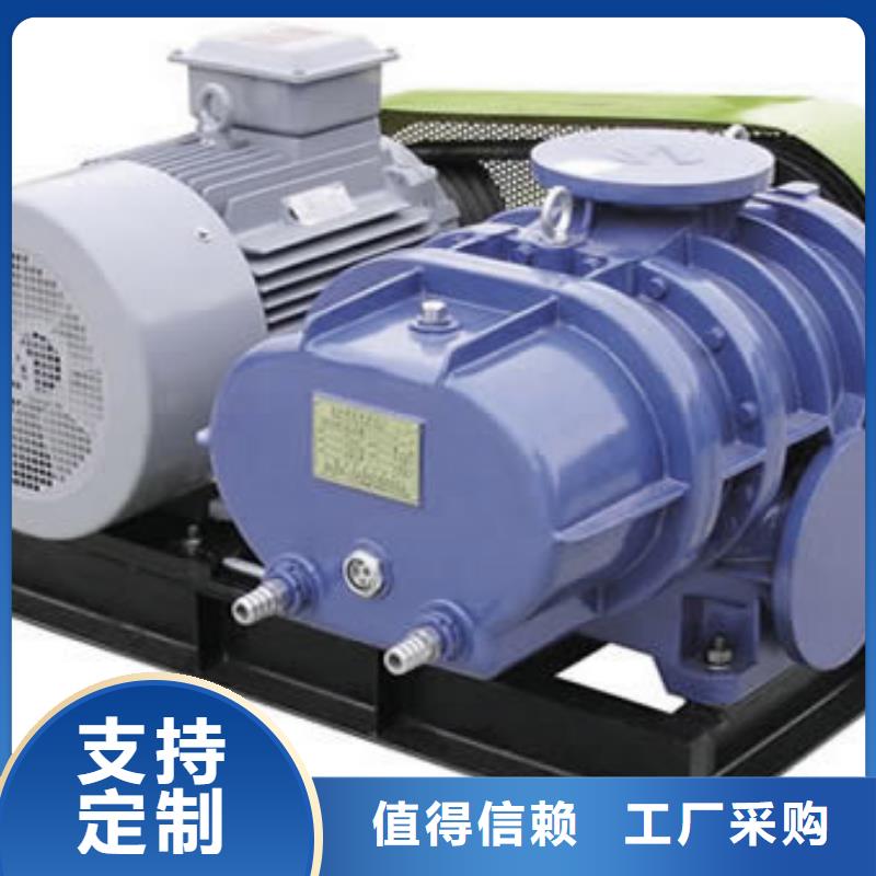 山东临风科技股份有限公司三叶罗茨鼓风机LFSR80