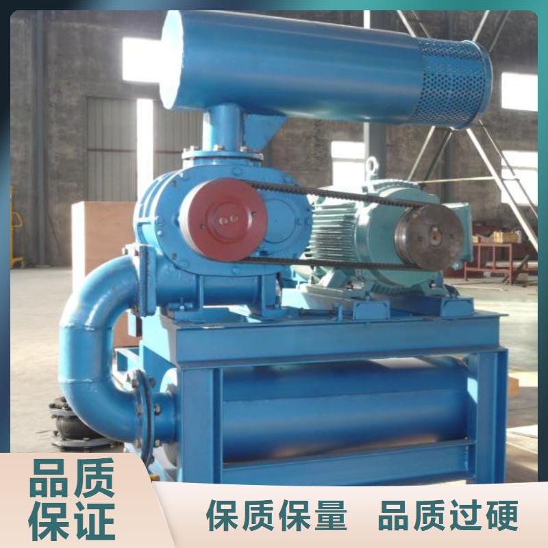 山东临风科技股份有限公司洗煤专用罗茨风机LFSR300