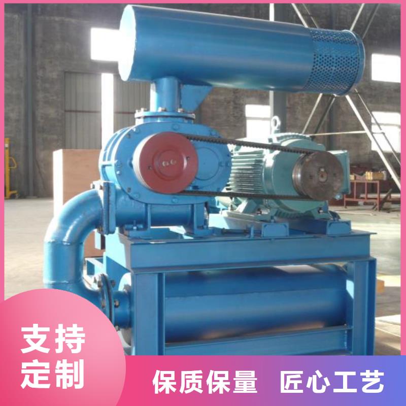 山东临风科技股份有限公司洗煤专用罗茨风机LFSR125