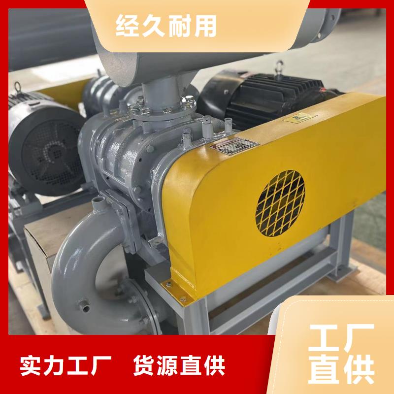 山东临风科技股份有限公司罗茨鼓风机LFSR300