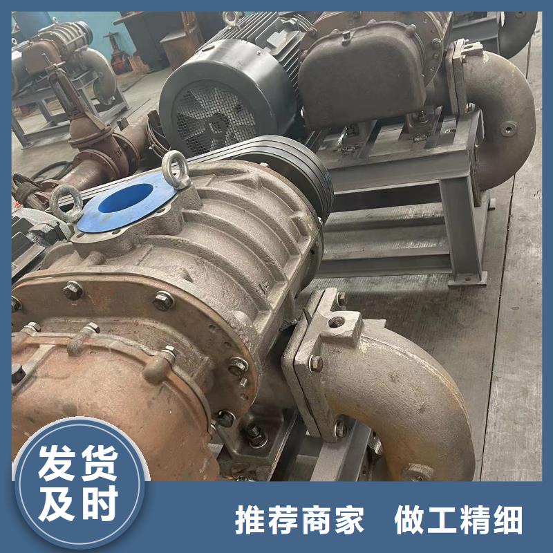 2025两叶罗茨风机LFSR300