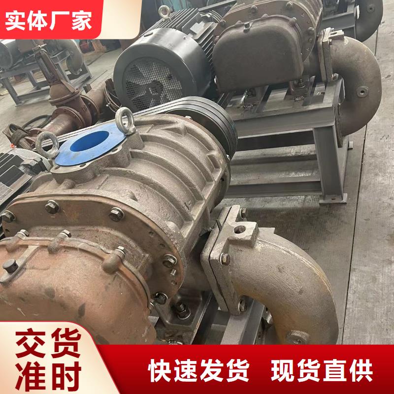 山东临风科技股份两叶罗茨风机LFSR80