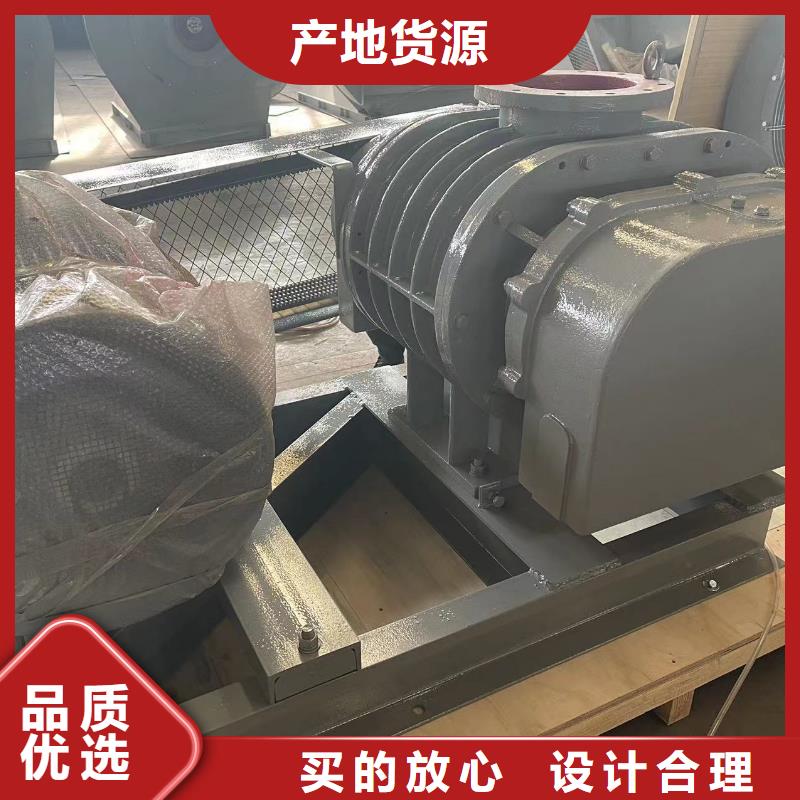 山东临风科技股份L系列罗茨风机LFSR150