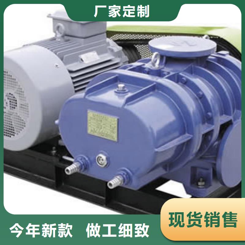 2025三叶罗茨鼓风机LFSR150