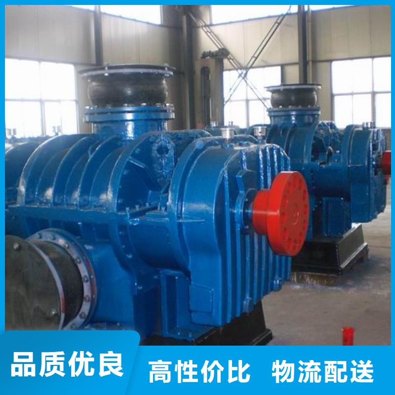 2025罗茨鼓风机LFSR150