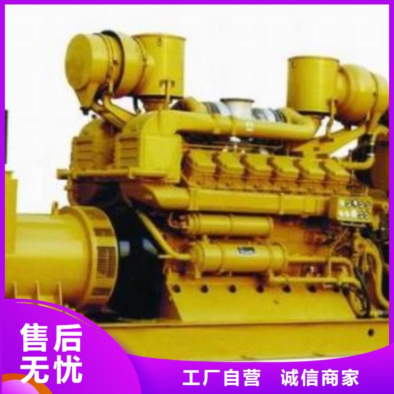 工厂专用热保高压发电机