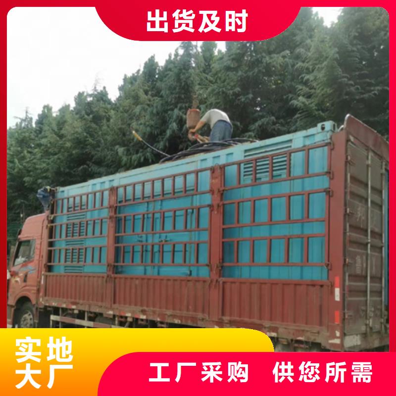 租10KV发电机全国配送价格公道