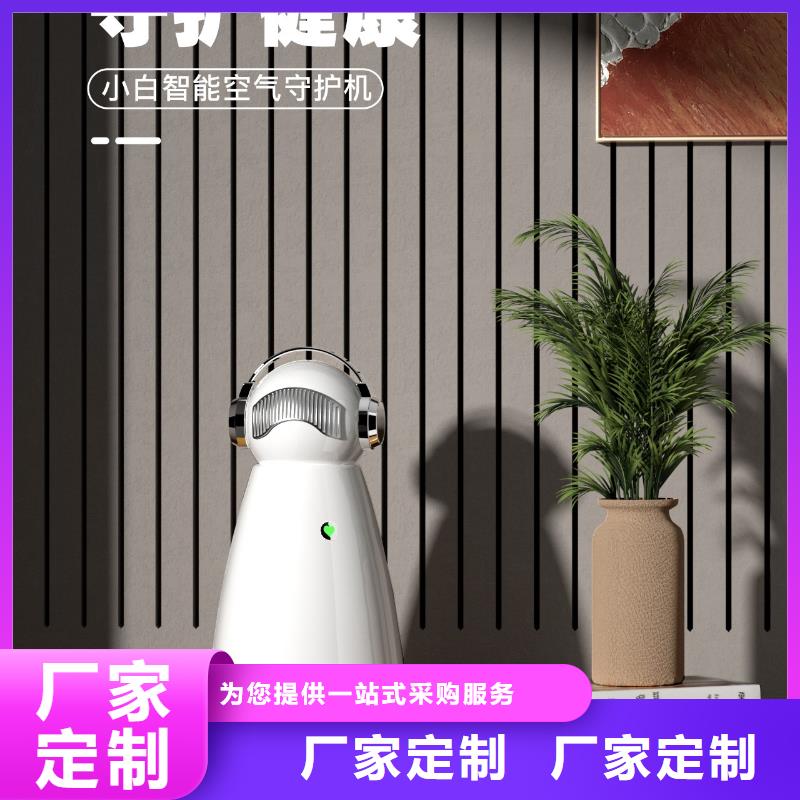 小白祛味王【车载空气净化器厂家】好货有保障