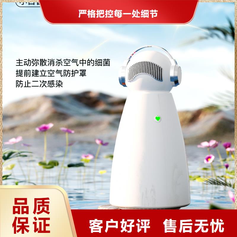 小白祛味王_车载空气净化器批发源厂直接供货
