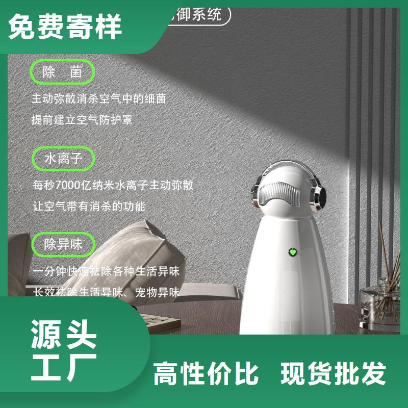 小白祛味王【小白祛味王销售热线】好品质售后无忧