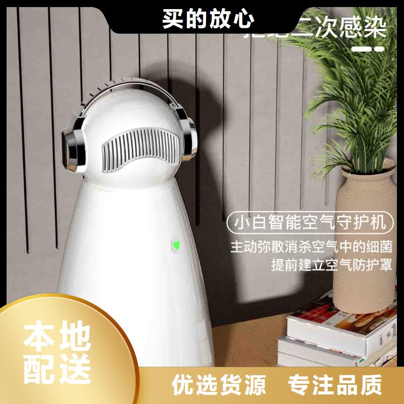 小白孕妇空气守护机【车载空气净化器销售热线】真诚合作